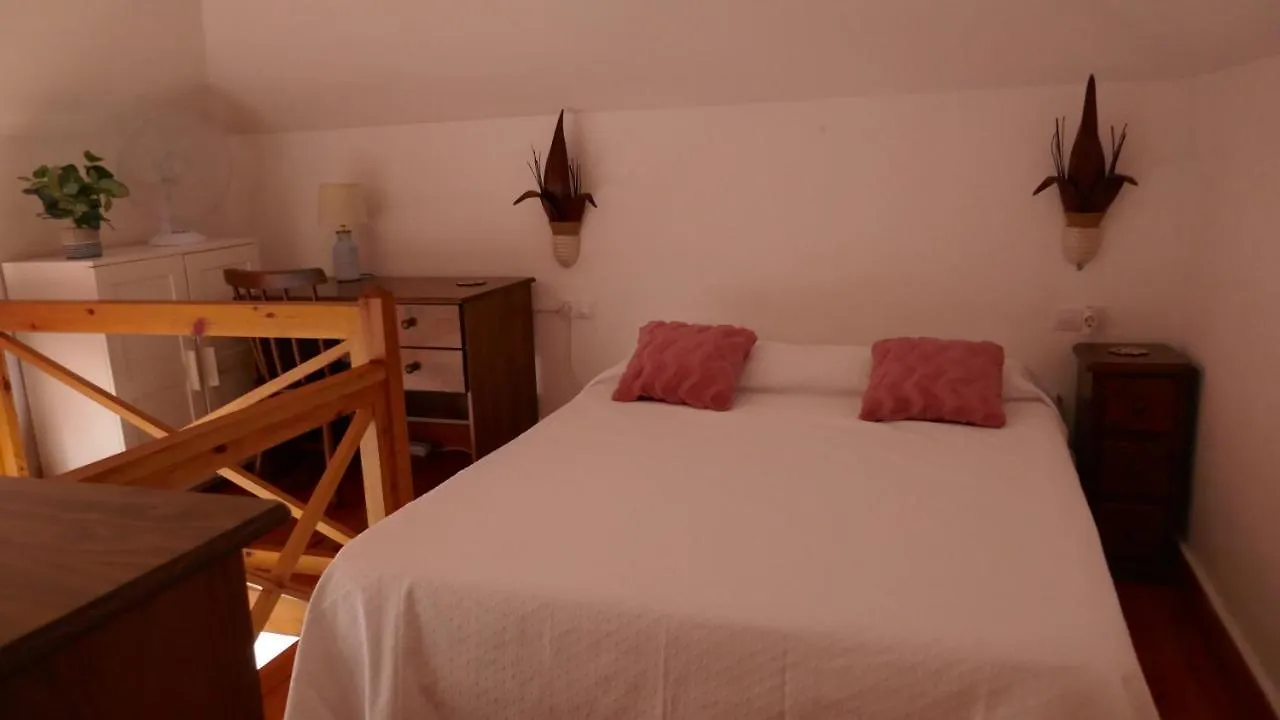 Vista Palmera Corralejo Španělsko